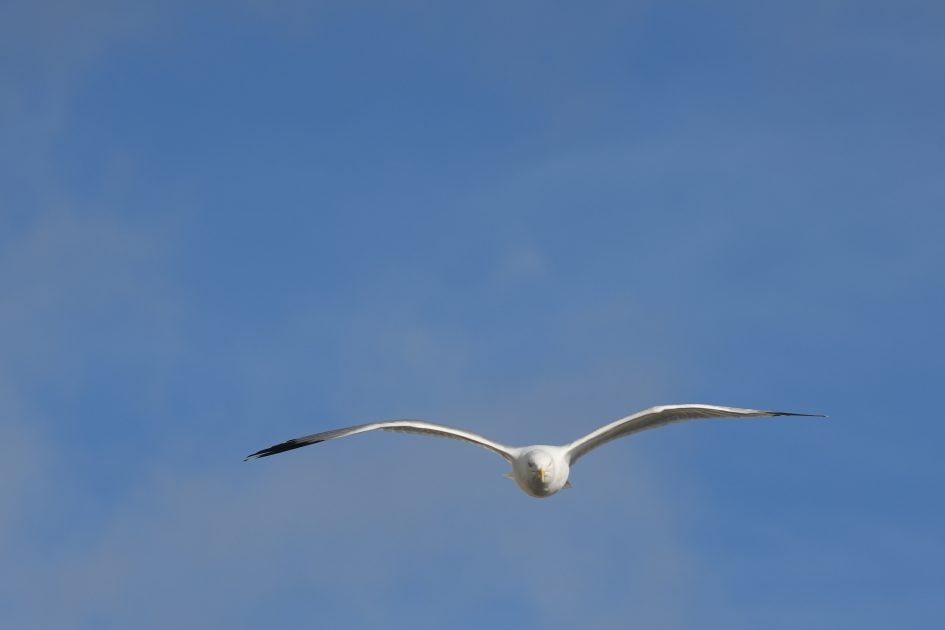 sigma-60-600mm-dg-dn-sample-image-DSC04046